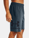 Under Armour Muške kratke hlače Under Armour COTTON BIG LOGO SHORTS