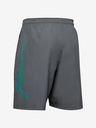 Under Armour Muške kratke hlače Under Armour Woven Graphic Shorts