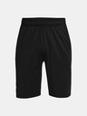 Under Armour Muške kratke hlače Under Armour UA Raid 2.0 Shorts
