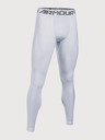 Under Armour Muške kompresijske tajice Under Armour Hg 2.0 Legging
