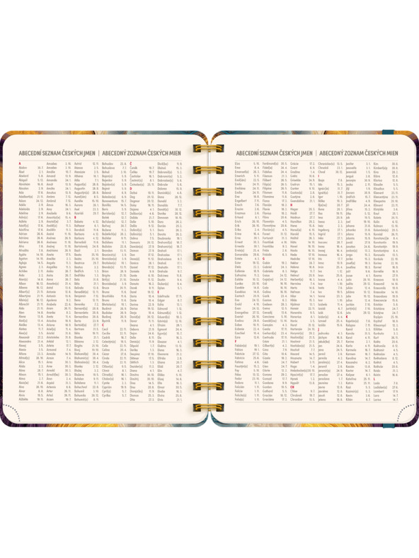 NOTIQUE NOTIQUE Spiralni 18-mjesečni dnevnik Petito – Šareni ahat 2026/2027, 13 x 18 cm