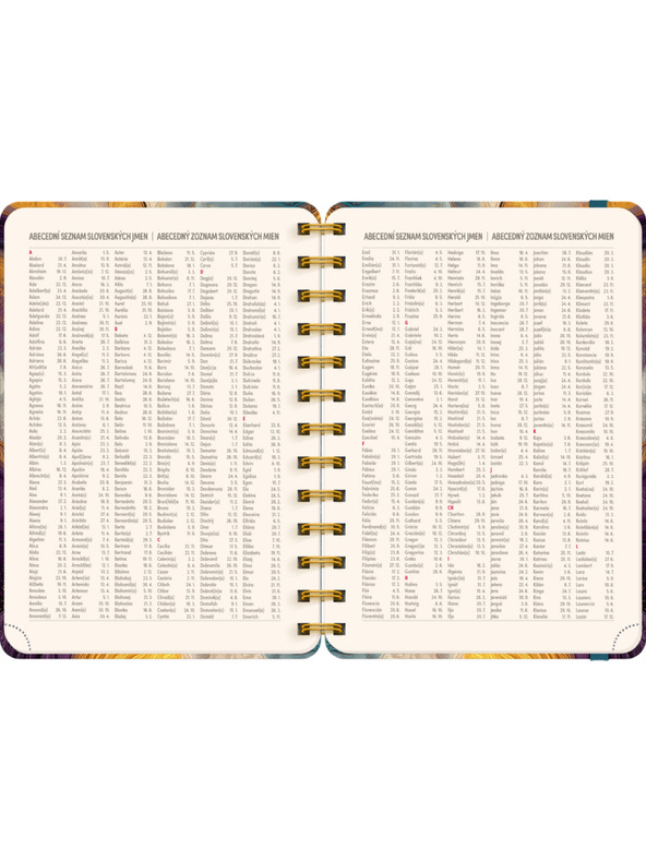 NOTIQUE NOTIQUE Spiralni 18-mjesečni dnevnik Petito – Šareni ahat 2026/2027, 13 x 18 cm