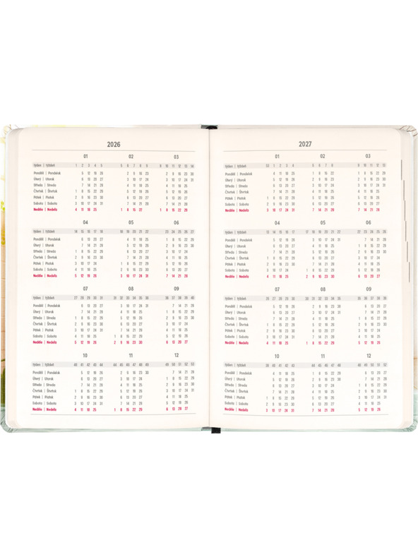 NOTIQUE NOTIQUE 18-mjesečni dnevnik Petito – Kapibara 2026/2027, 11 x 16 cm