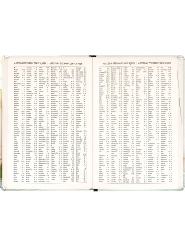 NOTIQUE NOTIQUE 18-mjesečni dnevnik Petito – Kapibara 2026/2027, 11 x 16 cm