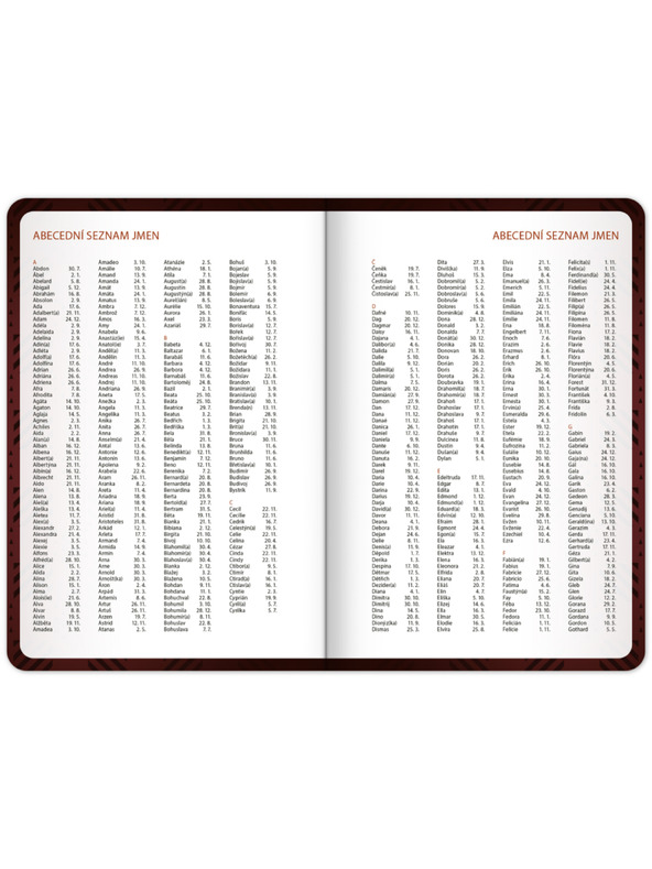 NOTIQUE NOTIQUE Studentski dnevnik Harry Potter (rujan 2026 – prosinac 2027), 9,8 x 14,5 cm
