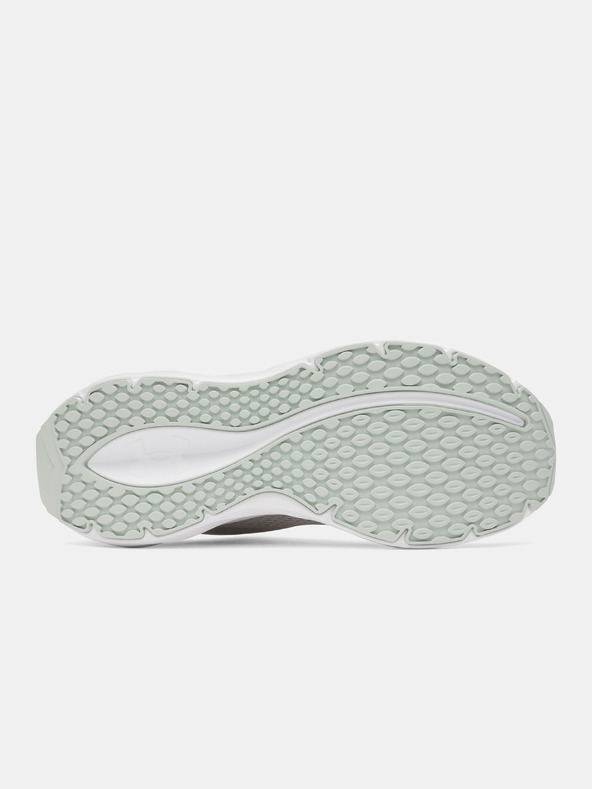 Under Armour Ženske cipele Under Armour UA W Ascend