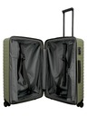 Titan Putni kofer Titan Upgrade L Forest green