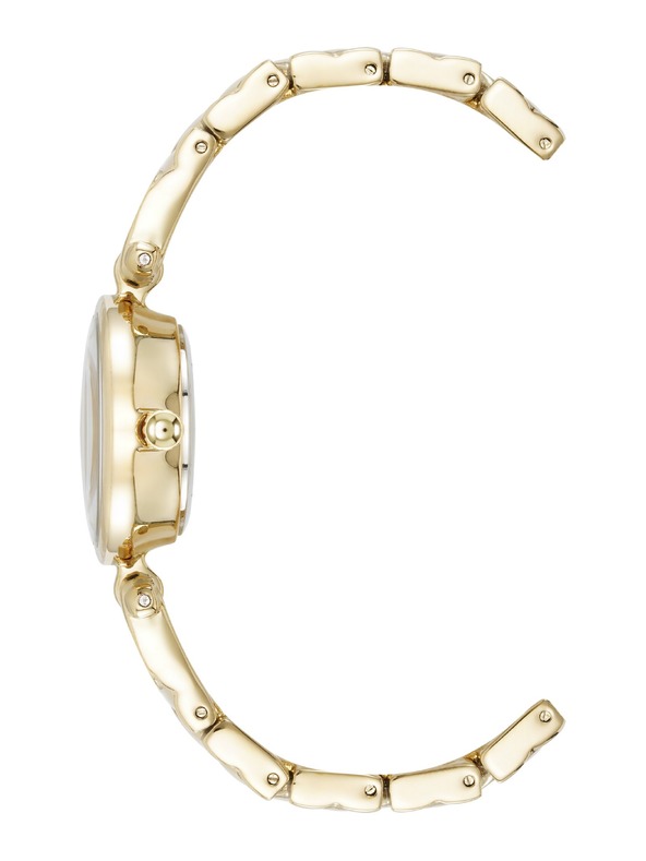 Anne Klein Ženski okrugli sat Anne Klein AK/5422CHGB