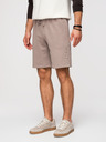Ombre Clothing Komplet od dvije muške sportske kratke hlače regular fit od french terry tkanine - bežu/svjetlozalena V2 Z125 Ombre Clothing