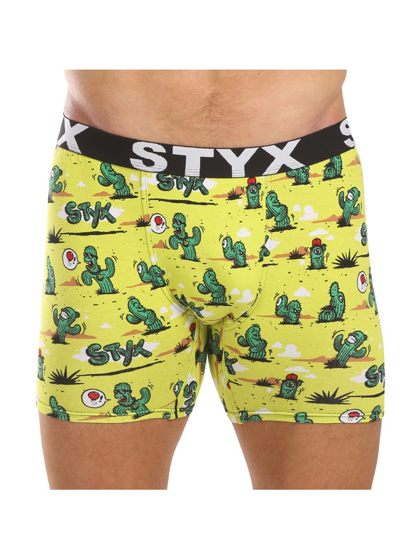 Styx Komplet od šest - muške boxer gaćice Styx long art sportska guma višebojne