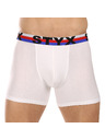 Styx Muške bokserkice Styx long sportski elastični pojas bijele trikolor