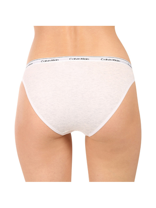 Calvin Klein Komplet od pet - ženske gaće Calvin Klein višebojna