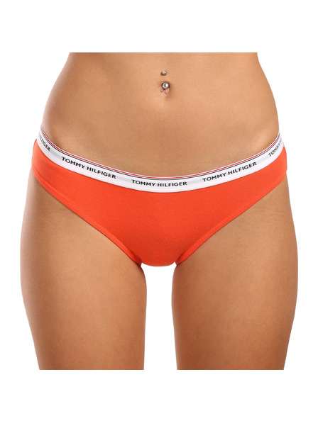 Tommy Hilfiger Set od tri - ženski donji dijelovi Tommy Hilfiger šareni