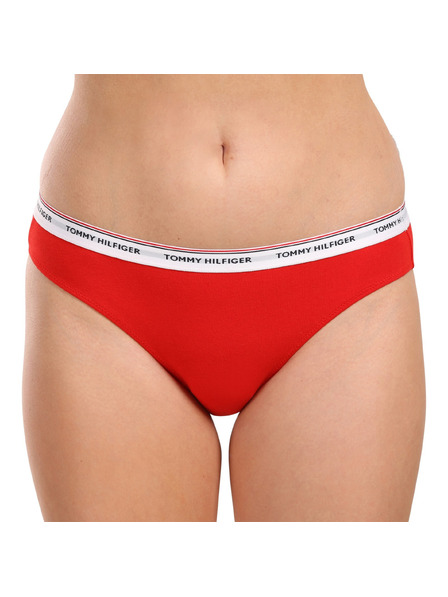 Tommy Hilfiger Set od tri - ženski donji dijelovi Tommy Hilfiger šareni