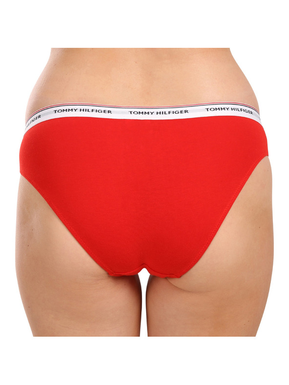 Tommy Hilfiger Set od tri - ženski donji dijelovi Tommy Hilfiger šareni