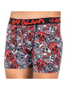 69slam Muške boksarice 69SLAM fit bamboo red sugar crane