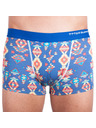69slam Muške boksarice 69SLAM hip bamboo kilim