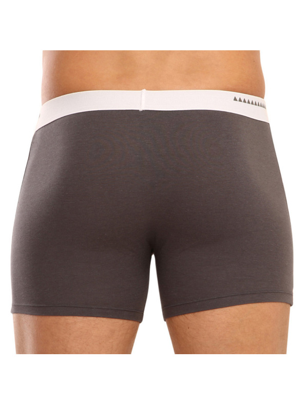 69slam Muške boksarice 69SLAM fit bamboo plain