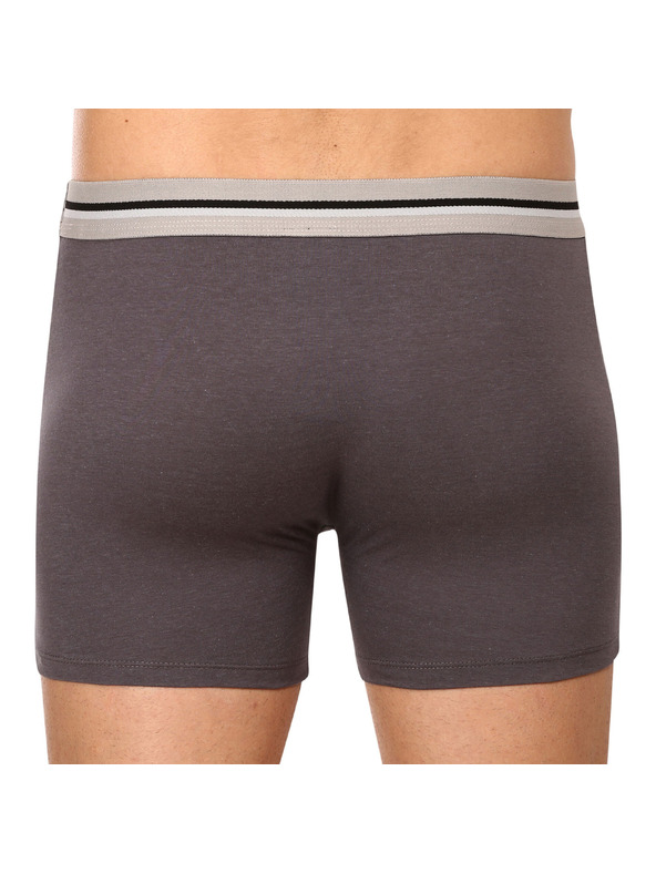 69slam Muške boksarice 69SLAM fit bamboo plain