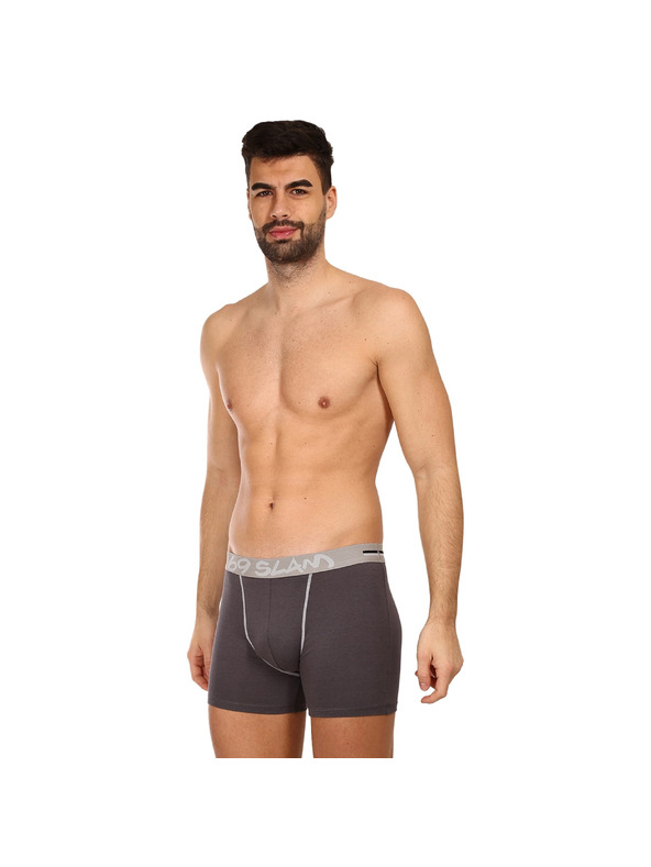 69slam Muške boksarice 69SLAM fit bamboo plain