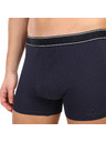 andrie Muške bokserice Andrie višebojne (PS 5828/dark blue)