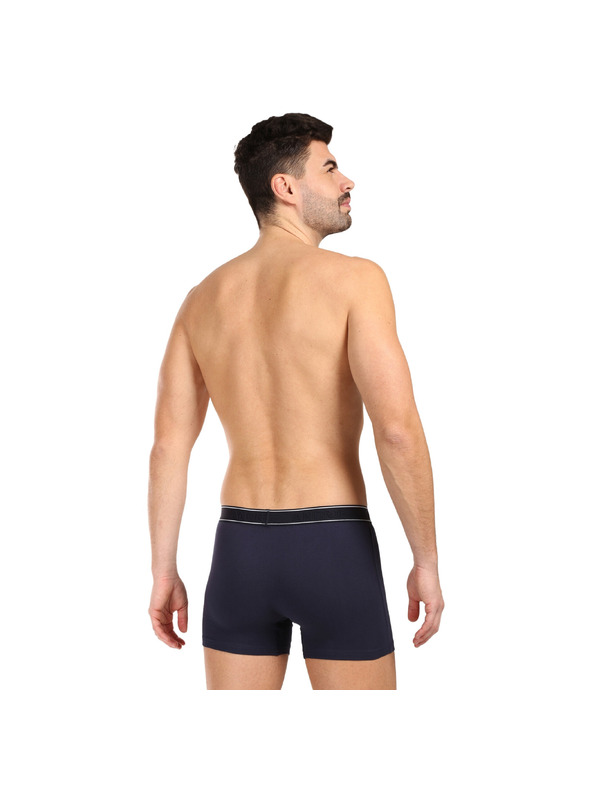andrie Muške bokserice Andrie višebojne (PS 5828/dark blue)