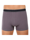 andrie Muške bokserice Andrie višebojne (PS 5828/light gray)