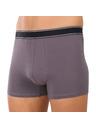 andrie Muške bokserice Andrie višebojne (PS 5828/light gray)