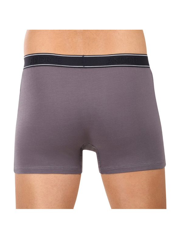 andrie Muške bokserice Andrie višebojne (PS 5828/light gray)