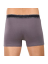 andrie Muške bokserice Andrie višebojne (PS 5828/light gray)