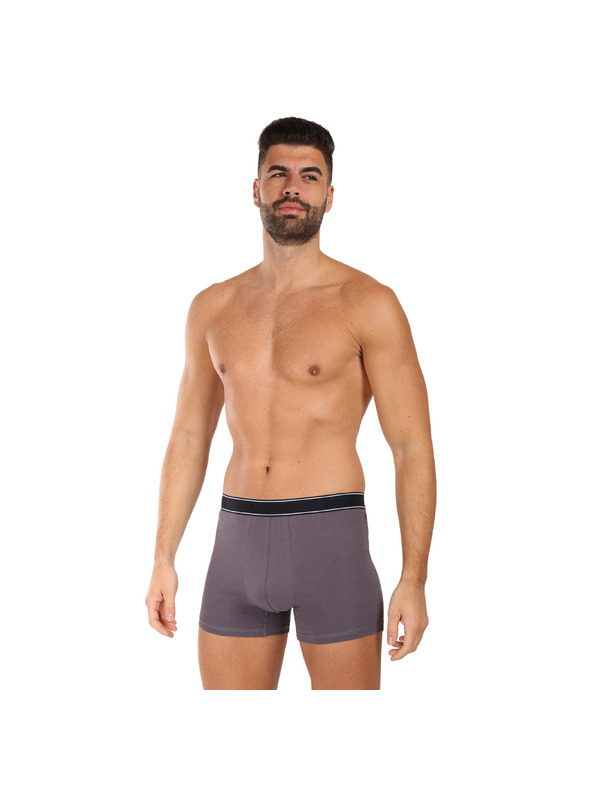 andrie Muške bokserice Andrie višebojne (PS 5828/light gray)