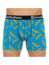 Horsefeathers Muške bokserice Horsefeathers Sidney pickles