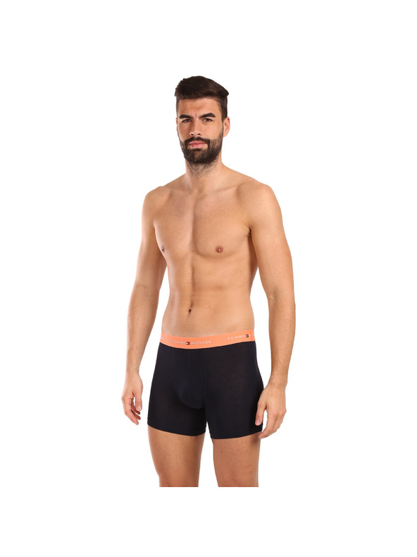 Tommy Hilfiger Set od tri - muške boxerice Tommy Hilfiger tamno plave