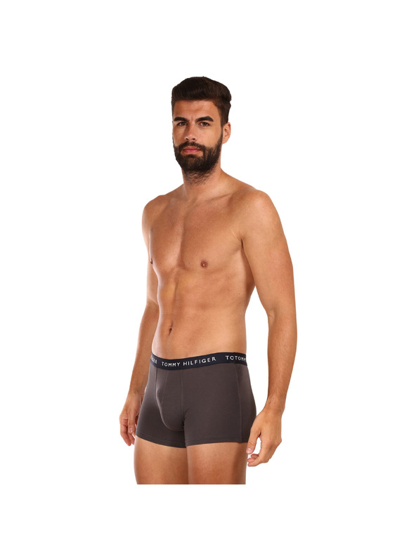 Tommy Hilfiger Set od tri - muške boxerice Tommy Hilfiger višebojne