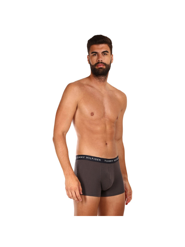 Tommy Hilfiger Set od tri - muške boxerice Tommy Hilfiger višebojne