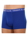 Tommy Hilfiger Set od tri - muške boxerice Tommy Hilfiger višebojne