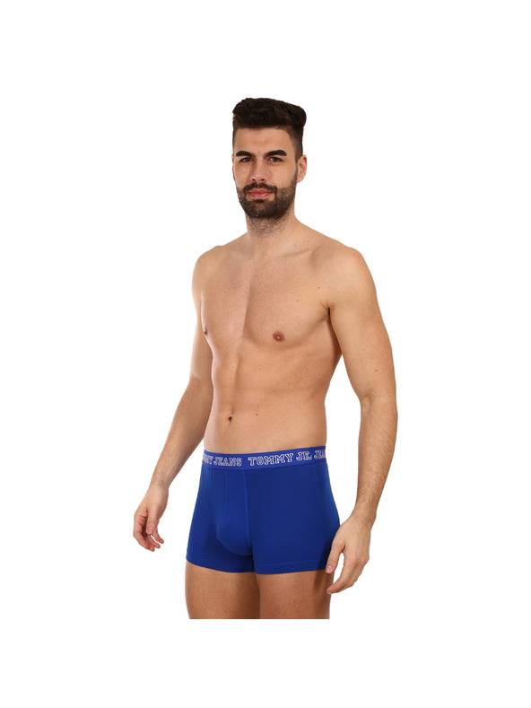 Tommy Hilfiger Set od tri - muške boxerice Tommy Hilfiger višebojne
