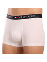 Tommy Hilfiger Set od tri - muške boxerice Tommy Hilfiger višebojne