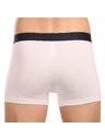 Tommy Hilfiger Set od tri - muške boxerice Tommy Hilfiger višebojne