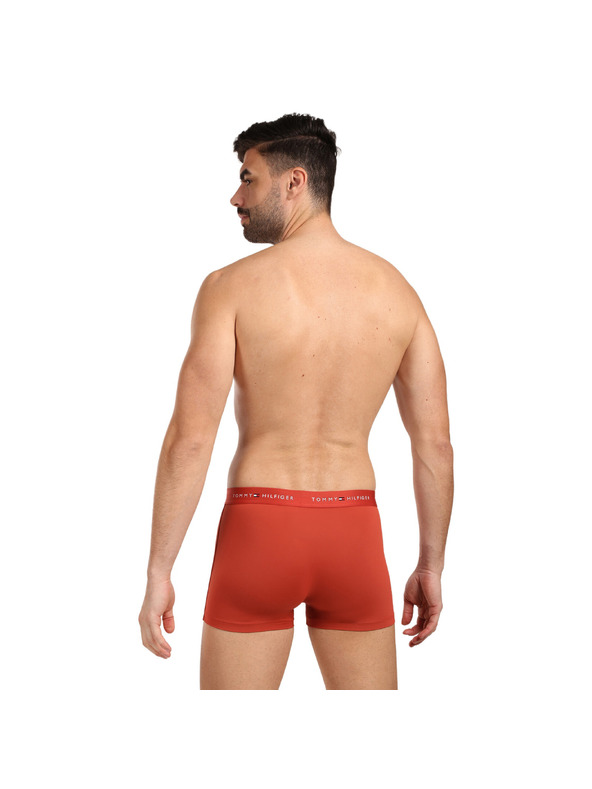 Tommy Hilfiger Set od tri - muške boxerice Tommy Hilfiger višebojne