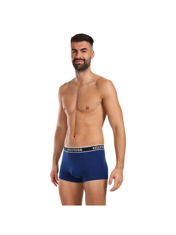 Tommy Hilfiger Set od tri - muške boxerice Tommy Hilfiger višebojne