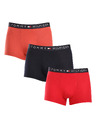 Tommy Hilfiger Set od tri - muške boxerice Tommy Hilfiger višebojne