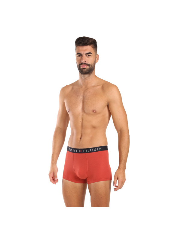 Tommy Hilfiger Set od tri - muške boxerice Tommy Hilfiger višebojne
