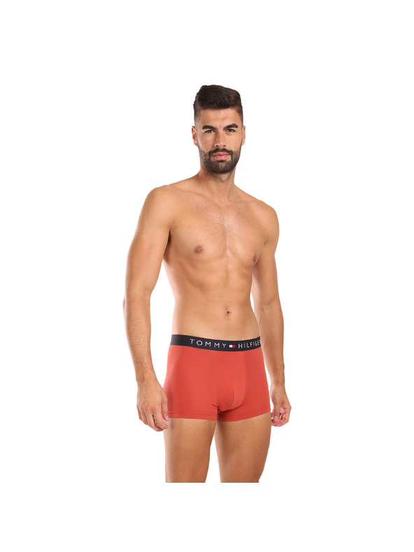 Tommy Hilfiger Set od tri - muške boxerice Tommy Hilfiger višebojne