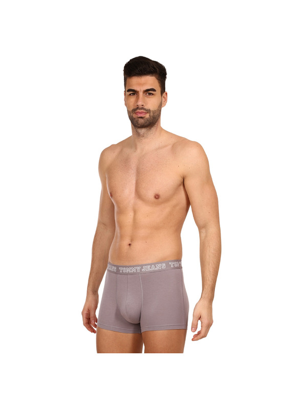 Tommy Hilfiger Set od tri - muške boxerice Tommy Hilfiger višebojne