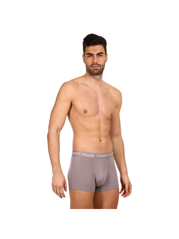 Tommy Hilfiger Set od tri - muške boxerice Tommy Hilfiger višebojne