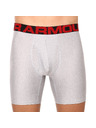 Under Armour Set od dva - Muške bokserice Under Armour sive
