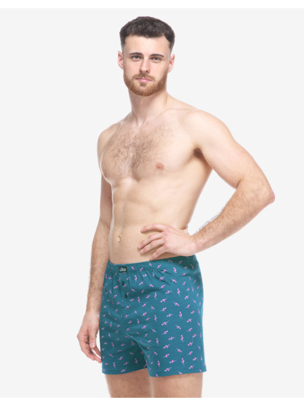 gino Muške boxer gaće Gino zelene