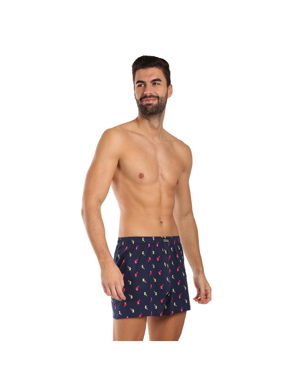 gino Muške boxer gaće Gino višebojne