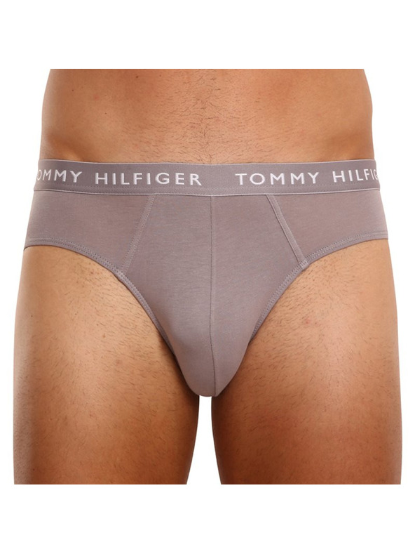 Tommy Hilfiger Set od tri - muške gaće Tommy Hilfiger šarene